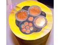 電纜價(jià)格:礦物絕緣節(jié)能電纜在施工技術(shù)中的應(yīng)用分析_no.191